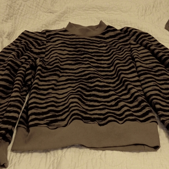 AGOLDE Sleeve Sweatshirt in Serpentine NWOT - Picture 2 of 3